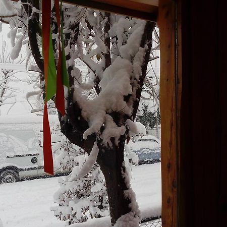 Carpe Diem San Martín de los Andes 외부 사진
