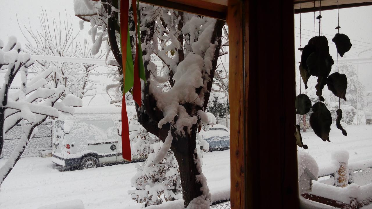 Carpe Diem San Martín de los Andes 외부 사진
