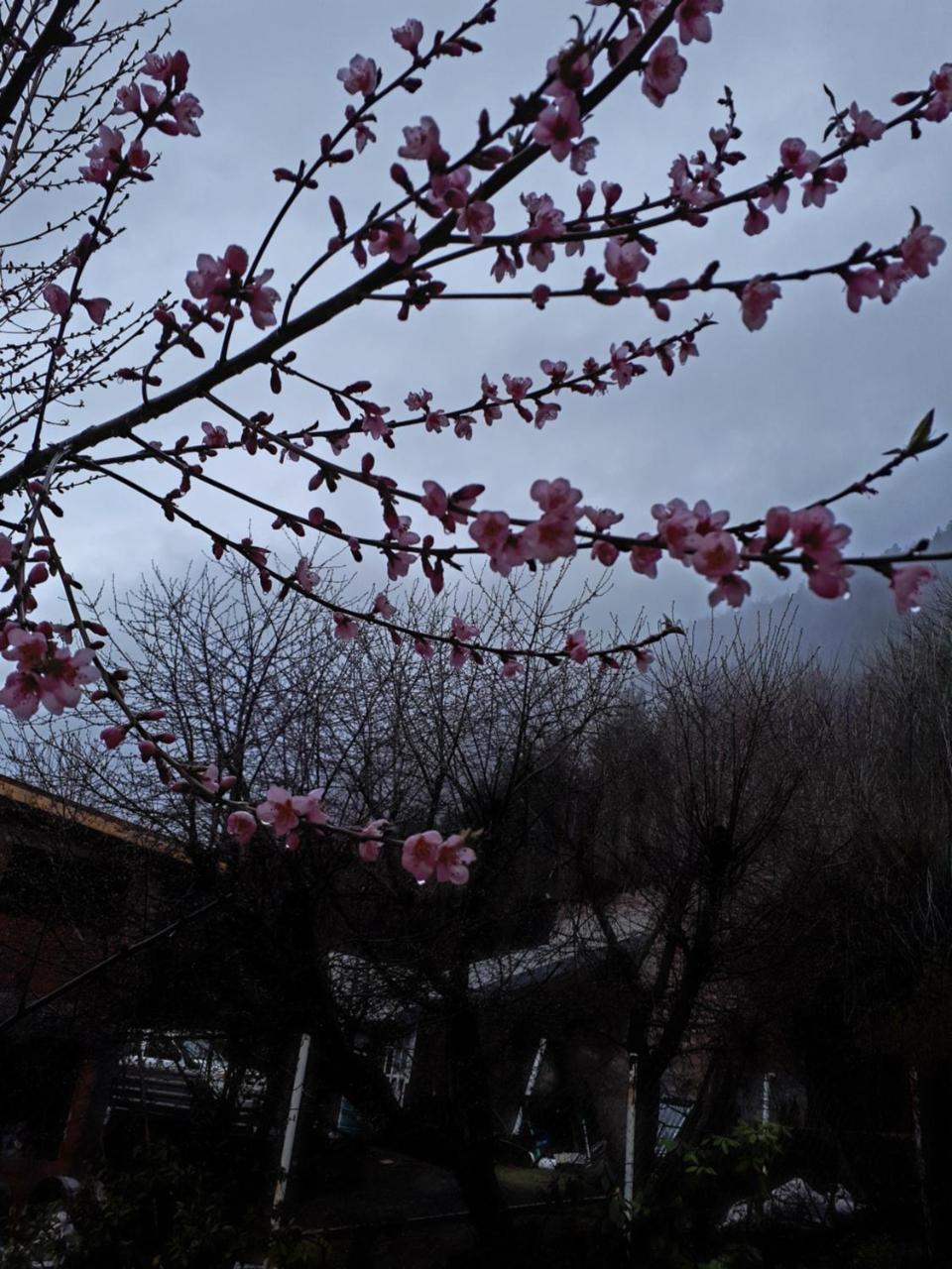 Carpe Diem San Martín de los Andes 외부 사진